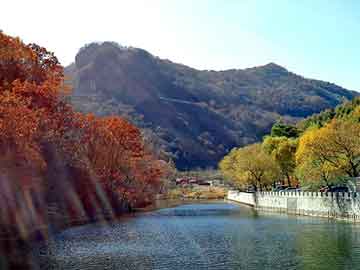 新澳天天开奖资料大全旅游团，八里钢材市场